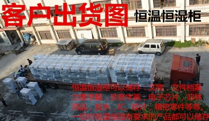 守護(hù)文明印記 恒溫恒濕儲(chǔ)存柜——文物保護(hù)的科技基石